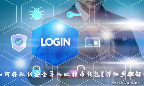 如何将私钥安全导入比特币钱包？详细步骤解析