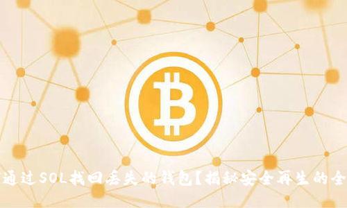 如何通过SOL找回丢失的钱包？揭秘安全再生的全流程