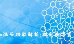 TP钱包的币加池子功能解析