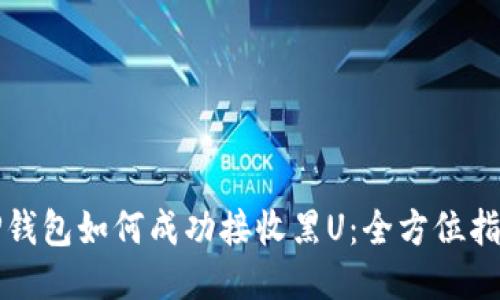 TP钱包如何成功接收黑U：全方位指南