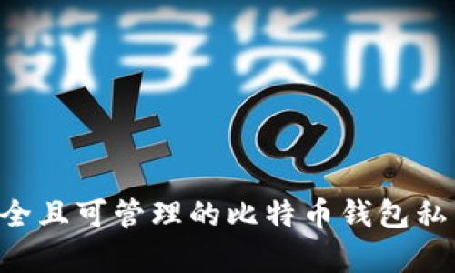 如何选择安全且可管理的比特币钱包私钥：深入解析