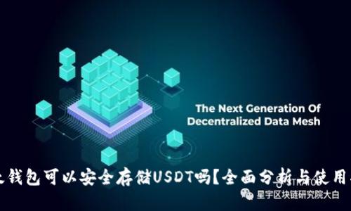 比太钱包可以安全存储USDT吗？全面分析与使用指南
