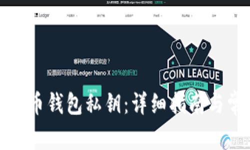 如何导入狗狗币钱包私钥：详细指南与常见问题解答