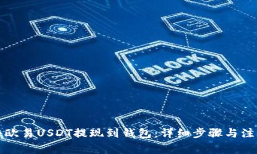 如何将欧易USDT提现到钱包：详细步骤与注意事项