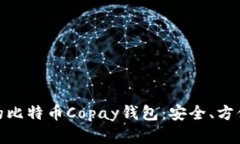 如何选择最佳的比特币C