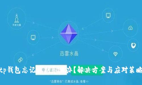 tp钱包忘记私钥怎么办？解决方案与应对策略