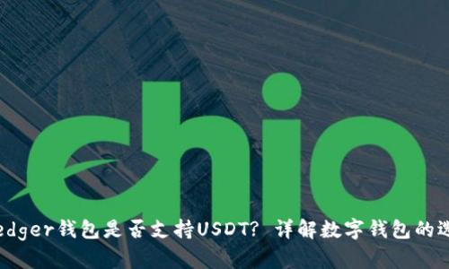 bianotiLedger钱包是否支持USDT? 详解数字钱包的选择与使用