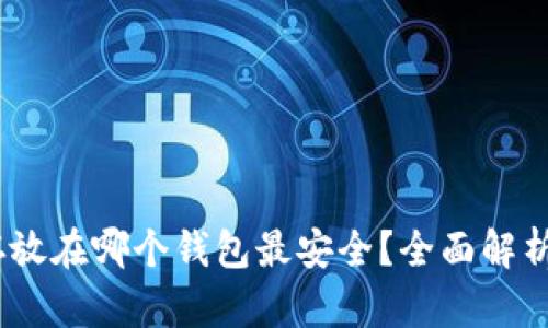 USDT存放在哪个钱包最安全？全面解析与推荐