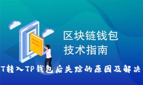 USDT转入TP钱包后失踪的原因及解决方案