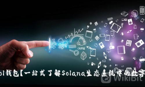 ## 什么是Sol钱包？一站式了解Solana生态系统中的数字资产管理工具