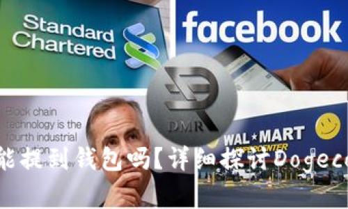 persona狗狗币能提到钱包吗？详细探讨Dogecoin的转账与存储