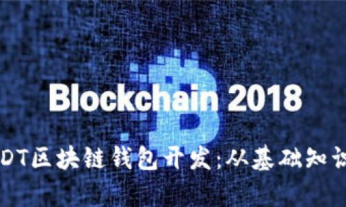 全面解析USDT区块链钱包开发：从基础知识到实践应用