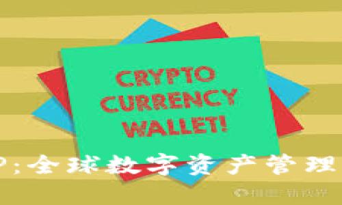 国际版TP：全球数字资产管理的新选择